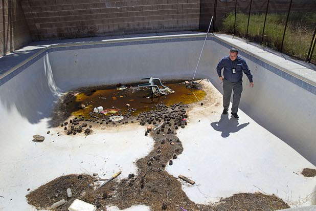 North Las Vegas code enforcement officer Matthew Meanea looks over a backyard pool at a vacant home that had been occupied by squatters in North Las Vegas Wednesday, May 18, 2016.