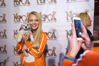 Hooters Girl Hailey Sauer poses with a puppy on the red carpet during a charity bowling event to support the Nevada Society for the Prevention of Cruelty to Animals (NSPCA) at the Sam's Town Bowling Center Sunday, August 7, 2016. Hooters funneling all of its advertisement money for August into helping a variety of charitable causes.