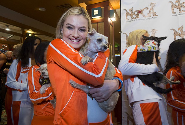 Hooters Girl Kristin Morris poses with Valentine, a Shih Tzu available for adoption, during a charity bowling event to support the Nevada Society for the Prevention of Cruelty to Animals (NSPCA) at the Sam's Town Bowling Center Sunday, August 7, 2016. Hooters funneling all of its advertisement money for August into helping a variety of charitable causes.