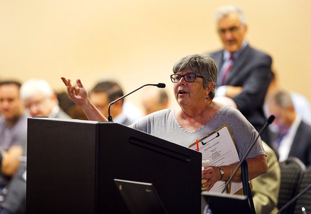 Rose Ann Rabiola Miele, a writer with the Boulder City Review, speaks against public funding for a stadium project during a Southern Nevada Tourism Infrastructure Committee meeting at UNLV Thursday, Aug. 25, 2016.