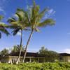 Palm trees sway in the breeze outside the vacation home where President-elect Barack Obama will stay during his holiday in Hawaii, pictured Sunday, Dec. 14, 2008, in Kailua, Hawaii. 
