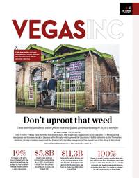 VEGAS INC Current Issue