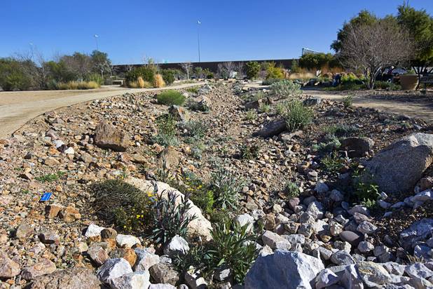 A drainage wash is shown with native desert landscaping at the University of Nevada Cooperative Extension, 8050 Paradise Rd., Wednesday, Feb. 22, 2017. .