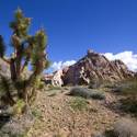 Gold Butte National Monument