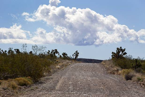 A view of New Gold Butte Road looking south from the Whitney Pockets area in Gold Butte National Monument Thursday, Feb. 23, 2017.