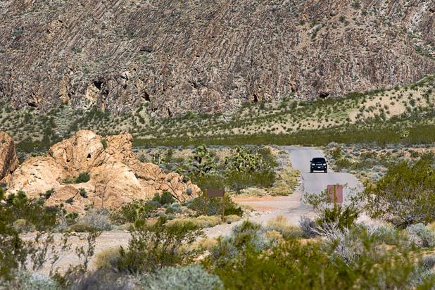 A vehicle approaches the Whitney Pockets area in Gold Butte National Monument Thursday, Feb. 23, 2017.