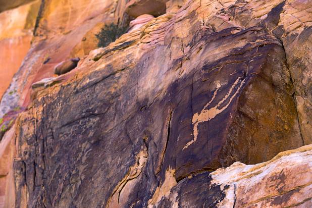 The "Falling Man" petroglyph is shown in Gold Butte National Monument Thursday, Feb. 23, 2017.