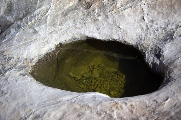 A small tank, or tinaja, is filled with rainwater in Gold Butte National Monument Thursday, Feb. 23, 2017.