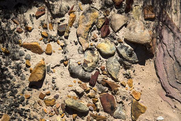 A view of the desert floor in Gold Butte National Monument Thursday, Feb. 23, 2017.