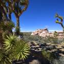 Gold Butte National Monument