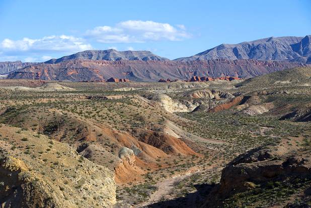 A scenic view in Gold Butte National Monument Thursday, Feb. 23, 2017.