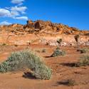 Gold Butte National Monument