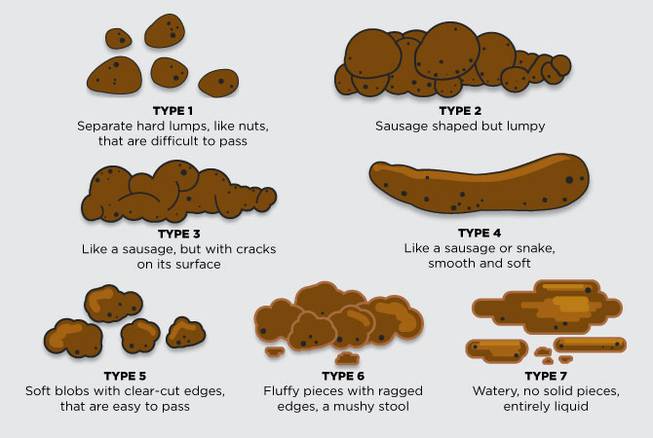 HCA what your poo says about you native