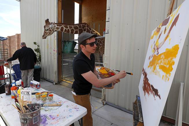 Artist Donovan Fitzgerald works on a painting, a collaborative effort with Ozzie, a three-year-old giraffe, at the Lion Habitat Ranch in Henderson Thursday, April 27, 2017.