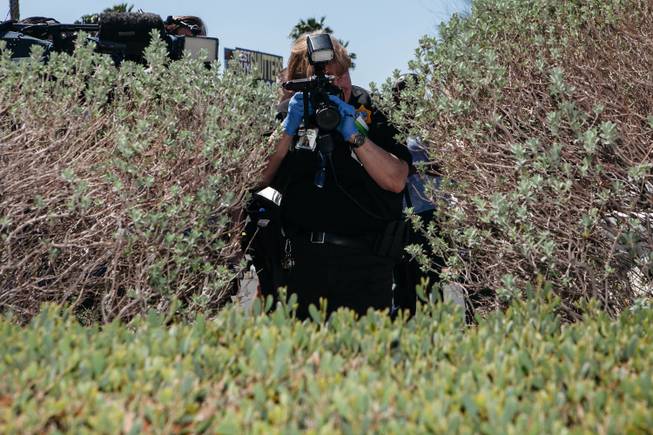 A look at various activities during Metro training in Las Vegas, Nev. on April 20, 2017. The training offered a behind the police tape view during an officer-involved shooting.