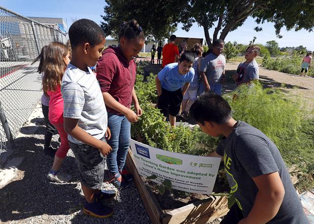 Fourth graders investigate the Parson's Patch raised-bed garden at Parson Elementary School Tuesday, May 2, 2017.