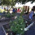 Parson's Patch School Garden