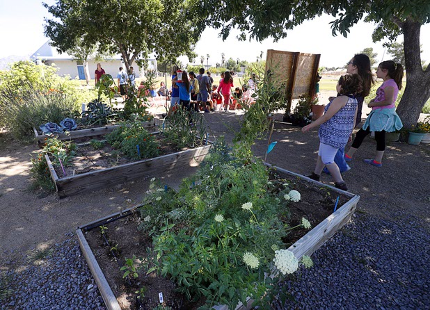 A view of the Parson's Patch raised-bed garden at Parson Elementary School Tuesday, May 2, 2017.