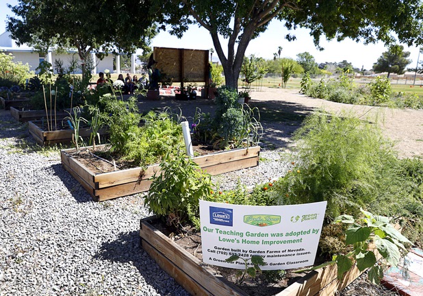 A raised-bed garden is shown at Parson Elementary School Tuesday, May 2, 2017. Lowes, Walmart and Whole Fooods helped with the original build of the garden, said Ashleigh Schrodi, head of the garden team.