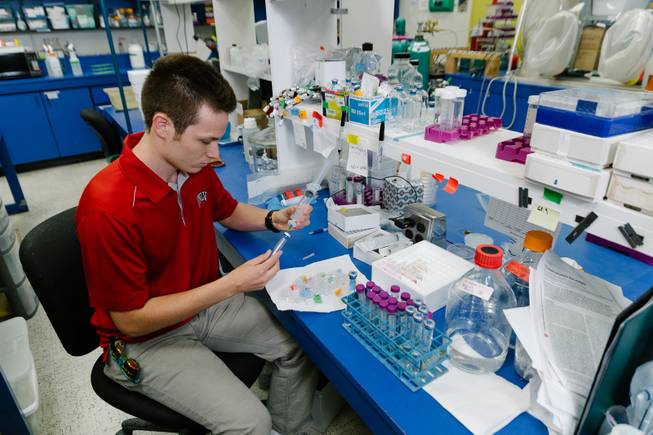 Microbiology student Devon Payne, 20, gives a demonstration of his studies during an interview at the Life Sciences building at UNLV,  Friday, May 5, 2017. Payne was selected as a 2017 Goldwater Scholara national scholarship program considered one of the premier awards for undergraduate STEM majorsfor his research at UNLV.