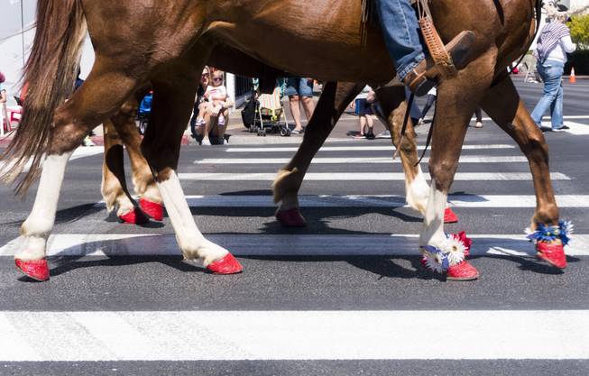 Horse hooves are decorated with flowers during the Helldorado parade, Saturday, May 13, 2017.