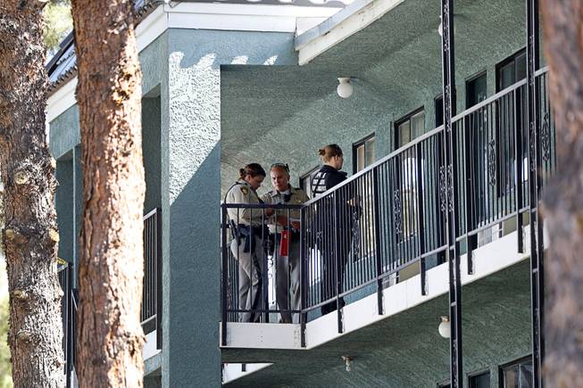 Fatal Shooting at Shelter Island Apartments