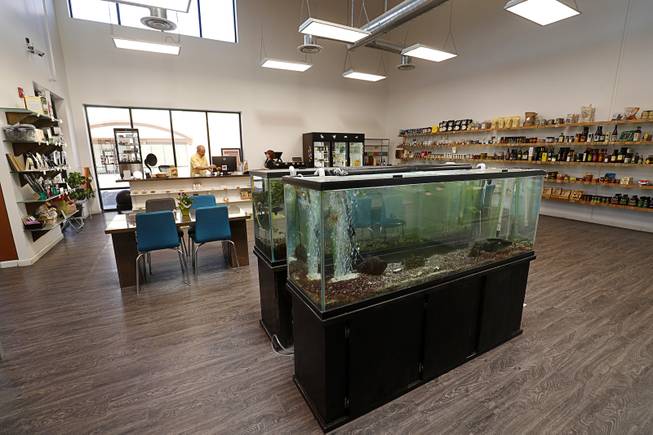 An interior view of Artisanal Foods, 2053 E. Pama Lane, Monday, June 12, 2017. The shop has a curated collection of products and tanks with sturgeon and lion fish so the staff can teach about sustainability.