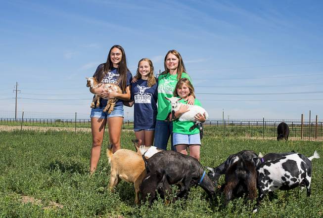 Jennifer Dionisio, second from right, owner of Three Sisters Farm and Dairy, with her daughters, from left, Erin, Regan and Ally, on their farm near Pueblo, Colo., June 9, 2017. Dionisio said she had no female role models when she started her company, but said she was trying to be one for her three daughters. “Then they can work for themselves, be independent and still make a living,” Dionisio said. 