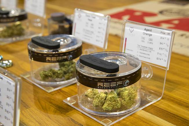Nevada Dispensary Association News Conference on Recreational Sales