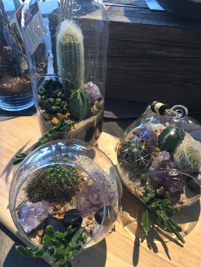 For success with glass terrariums, think small 