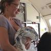 This June 22, 2017, photo provided by Maria de Los Angeles-Baida shows Emily France with her 4-month-old son Owen in Denver. France who says her infant son overheated on a delayed United Airlines flight at Denver's airport has hired an attorney and hopes the Federal Aviation Administration takes note.