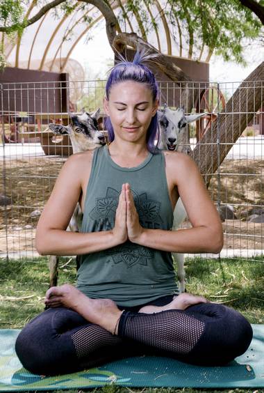 Jennie Marsh meditates while two goats eat from her shoulders during a Goat Yoga session in Las Vegas on Sunday, July 9, 2017.  Photo by Wade Vandervort