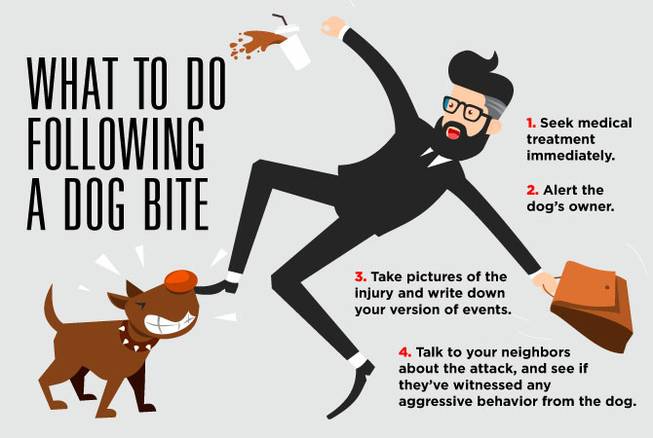 what to do if a neighbors dog bites you
