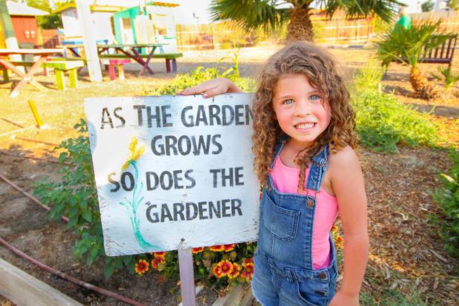 On Oct. 7, the Grow Your Own festival returns to the Vegas Roots urban farm for a second year, aiming to get the community in touch with healthy food.