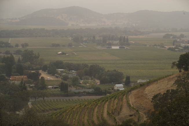 Vineyards are covered in smoke from a wildfire Monday, Oct. ...