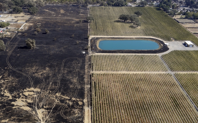 Fire damage is seen next to a vineyard Saturday, Oct. ...