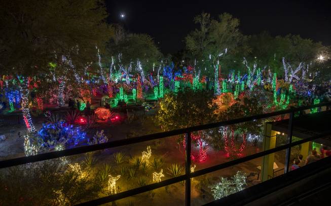 Over 1 million lights glow into the night during the Ethel M holiday lighting ceremony opening evening on Tuesday, Nov 7, 2017.