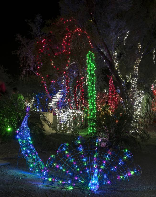 Colored lights glow into the night during the Ethel M holiday lighting ceremony opening activities on Tuesday, Nov 7, 2017.