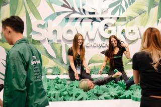 A convention goer jumps into a pool full of foam marijuana plant cutouts at the ShowGrow booth during the MJ Biz conference at the Las Vegas Convention Center on Wednesday, Nov. 15, 2017.