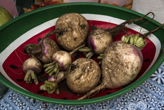 A variety of turnips for sale as Green Our Planet ...