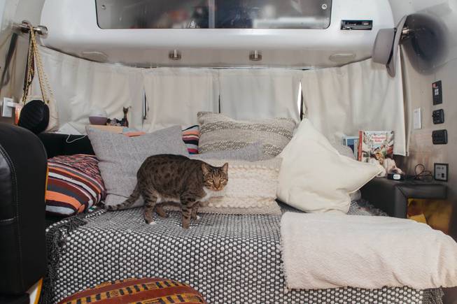 A glimpse inside the Fergusons Project in Downtown Las Vegas, Nev. on November 14, 2017. A glimpse inside Jennifer Taler's airstream, where one of her cats named Marty resides.