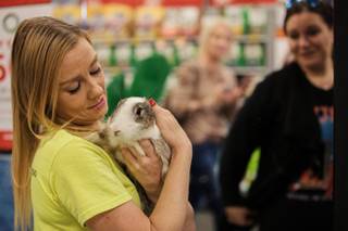 Lulu Topalian from Los Angeles, CA, seen in the background, looks on as Stacey Taylor from Bunnies Matter Las Vegas (a bunny rescue organization) brings out Bella her newly adopted bunny during one of their adoption events at a local PetSmart, Saturday, Nov. 4, 2017.