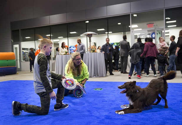 Mason MacDaniels, 10, plays with Captain Obvious, a 4-year-old Border Collie, during a dealership debut for Subaru owners and employees at the new Subaru Las Vegas facility, a two-story building with 65,500 sq. ft. on Roy Horn Way between Rainbow and Jones boulevards, Wednesday, Nov. 29, 2017.