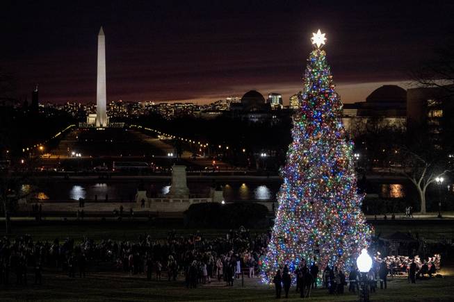 2017 Capitol Christmas Tree