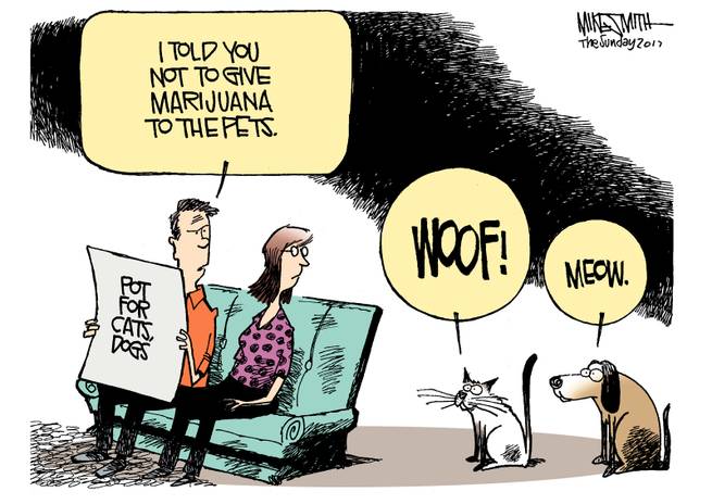 121117 smith cartoon marijuana 