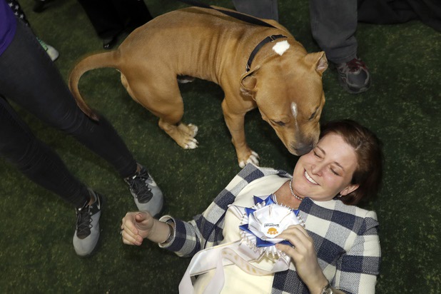 Rikki Tanenbaum, senior vice president and chief marketing officer for the Golden Nugget, gets a kiss from Joker during the Animal Foundation's 14th annual "Best in Show" event at the Thomas & Mack Center Sunday, April 23, 2017. Tanenbaum put in the winning bid for Joker who won Best in Show.