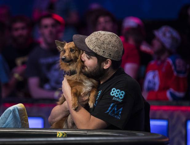 WSOP player Bryan Piccioli visits with dog Prince Yuzu during the first of three straight nights to finish poker's world championship as the table goes from 9 to 6 players at the Rio on Thursday, July 20, 2017.