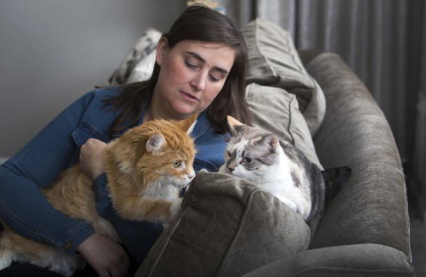 Rebecca Zisch, a cat behaviorist, is shown with Rusty, left, a 13-year-old Maine Coon Cat, and Molly, an eight -year-old dilute calico, at Lisa Young's home in Henderson Monday, Aug. 22, 2017. Zisch was brought in to help when the cats were not getting along, Young said.