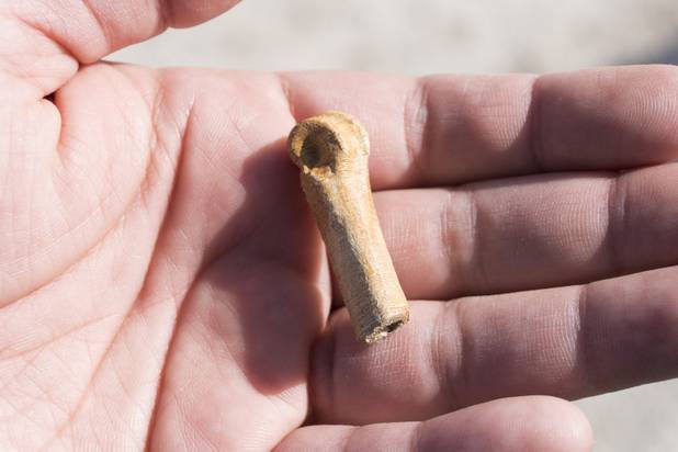 A 3D print out of an original dire wolf foot bone found at Ice Age Fossils State ParkLas Vegas' newest state park where visitors can explore and learn about fossil beds located in the areais passed around during a ranger-guided hike, Monday, Jan. 1, 2018. The original bone is on display at the Natural History Museum. With the park still in development, a visitor's center, interpretive trails and more infographic signs are expected to complete the park within two years.