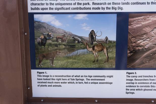 A sign posted at the entrance to Ice Age Fossils State ParkLas Vegas' newest state park where visitors can explore and learn about fossil beds located in the areashows what the area might have looked like, Monday, Jan. 1, 2018. With the park still in development, a visitor's center, interpretive trails and more infographic signs are expected to complete the park within two years.